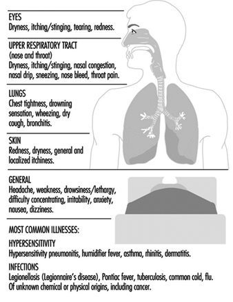 Las cocinas de gas pueden emitir más benceno cancerígeno que el humo del  tabaco