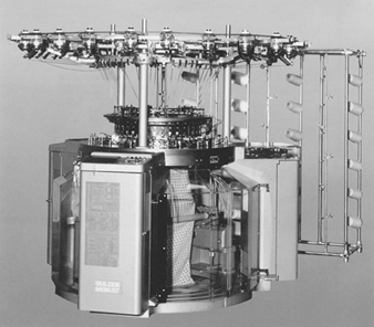 Machine De Broyage De La Pâte Des Graines De Tamarin Automatique